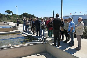 VIAJE POST-CONGRESO UNAV 2014 �� UN VIAJE SORPRENDENTE !! -  Visita de la Comarca de Thau
