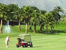 Torneo de Golf