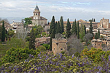 CONGRESO UNAV - Visita Alhambra y Excursin Motril